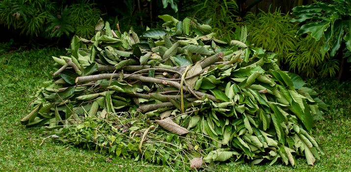 Ab 2026 gibt es die Grünsperrmüll-Abfuhr nur noch auf Abruf Grünschnitt-Haufen auf dem Rasen im Garten