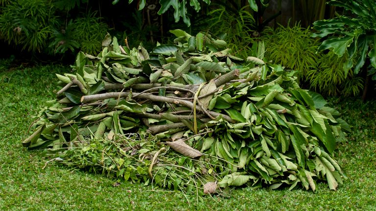 Ab 2026 gibt es die Grünsperrmüll-Abfuhr nur noch auf Abruf Grünschnitt-Haufen auf dem Rasen im Garten